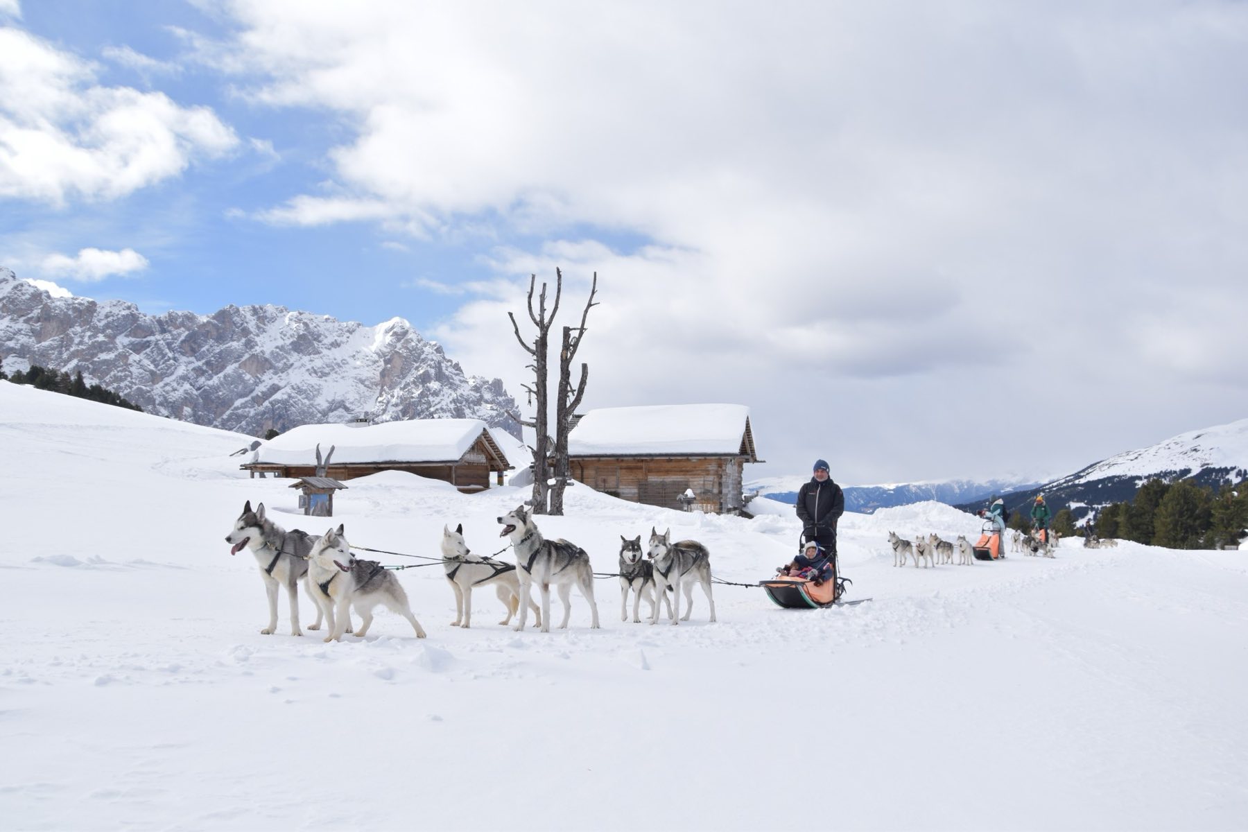 Husky sledding near Kronplatz