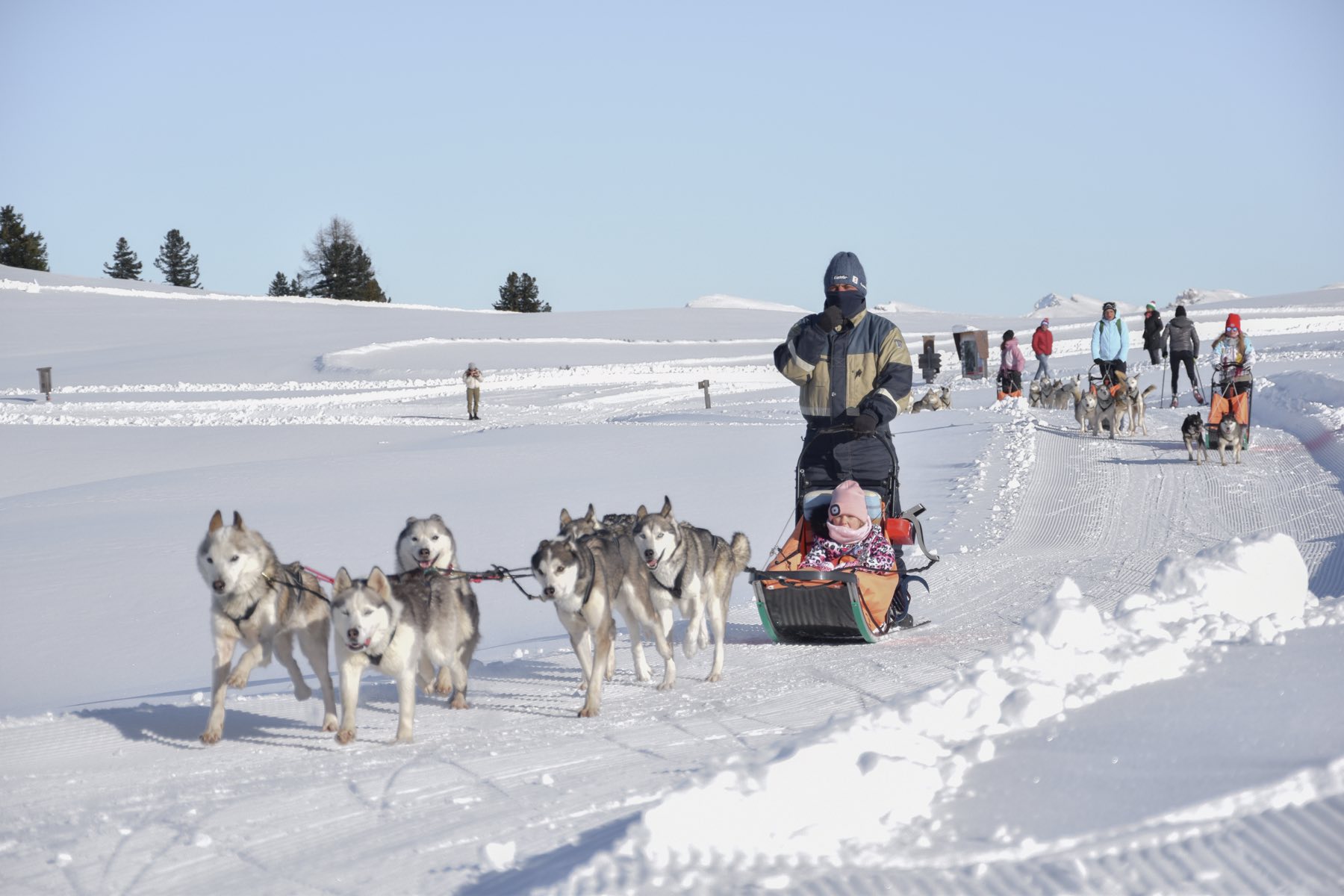 Husky sledding across the snow