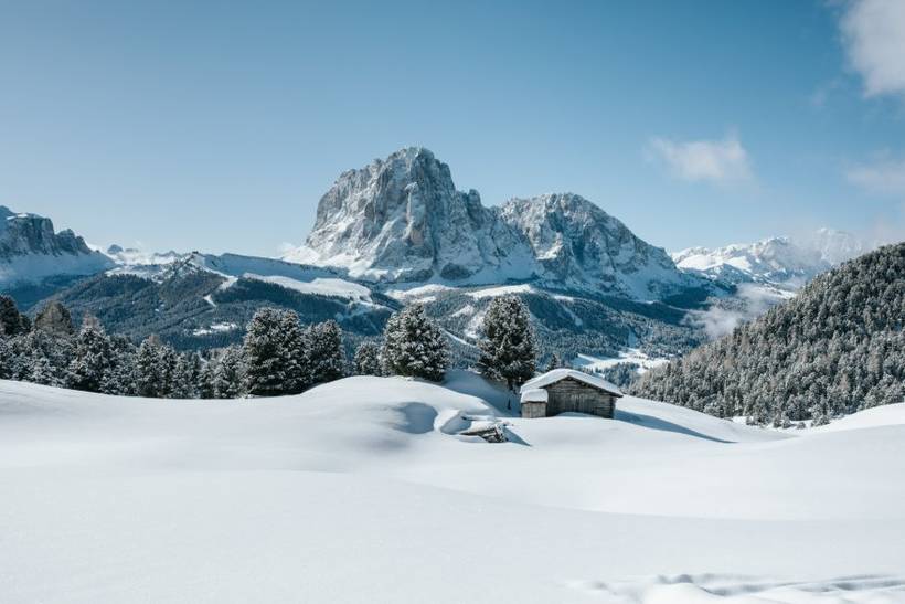 A quiet alpine meadow under the Dolomiti Superski peaks