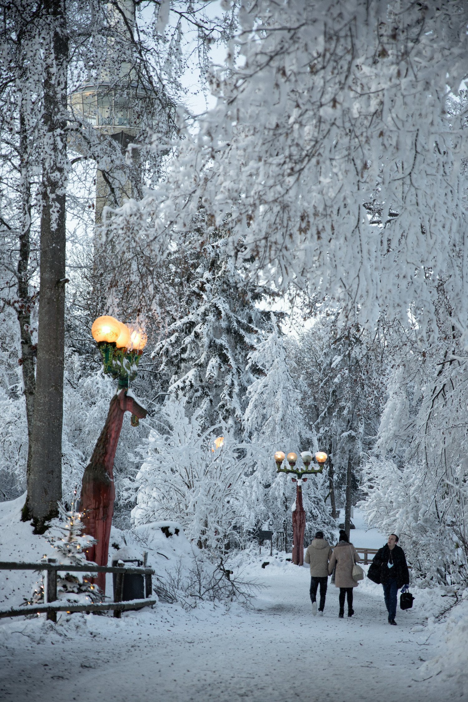 Walkers on a snow-covered forest path on Uetliberg